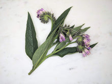 Translation missing: en.sections.featured_product.gallery_thumbnail _alt