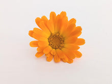 Translation missing: en.sections.featured_product.gallery_thumbnail _alt